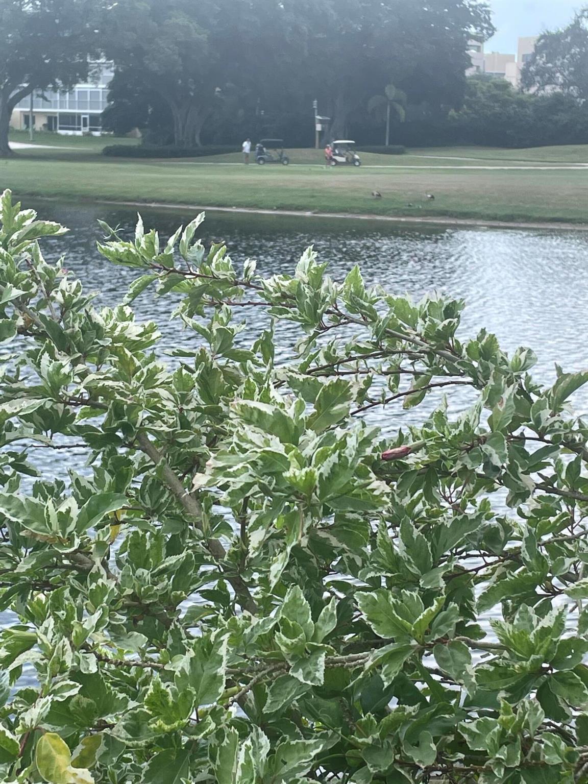 RIO VISTA VILLAS - Residential