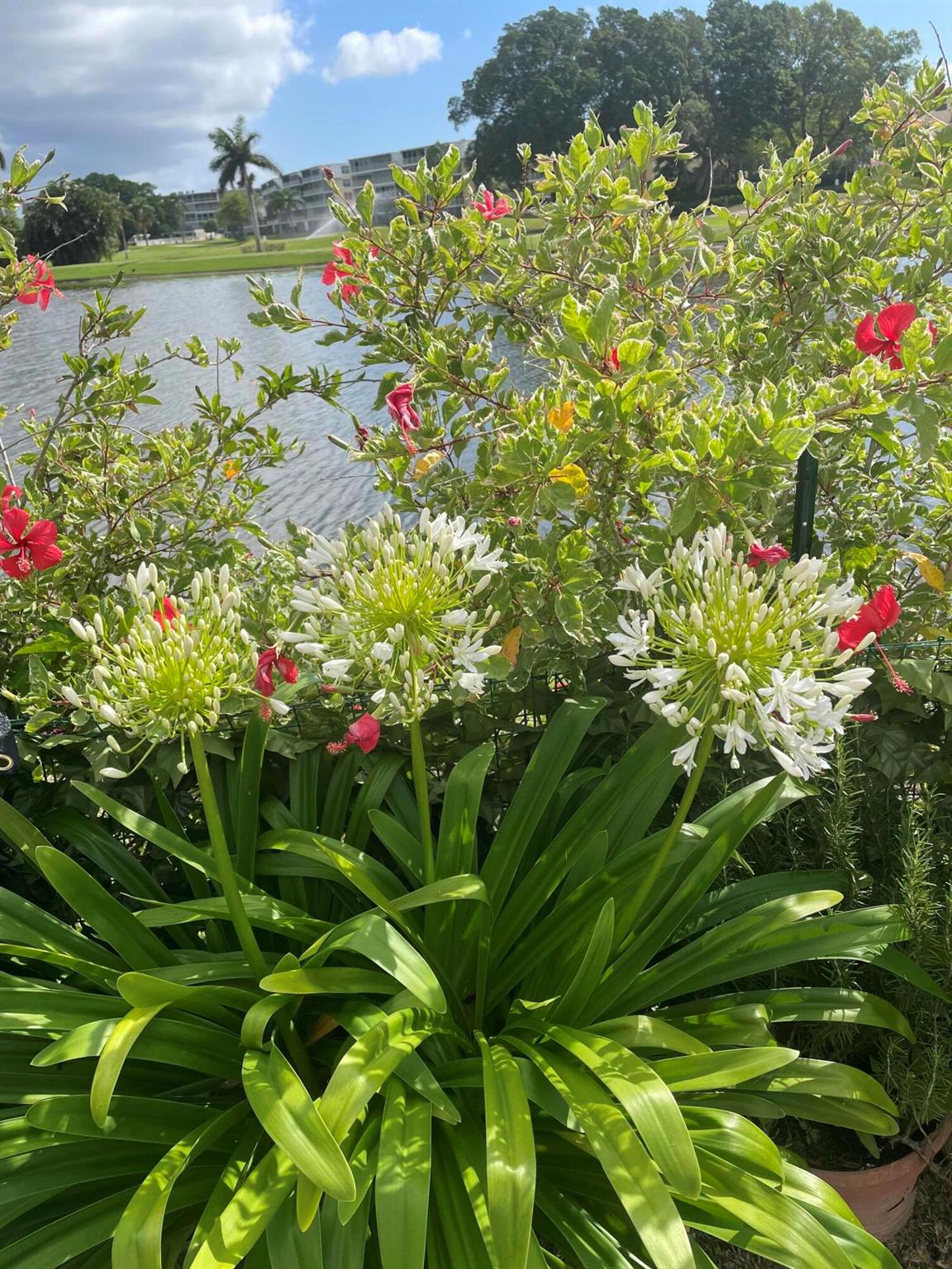 RIO VISTA VILLAS - Residential