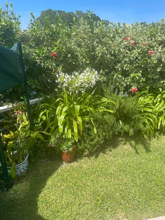 RIO VISTA VILLAS - Residential