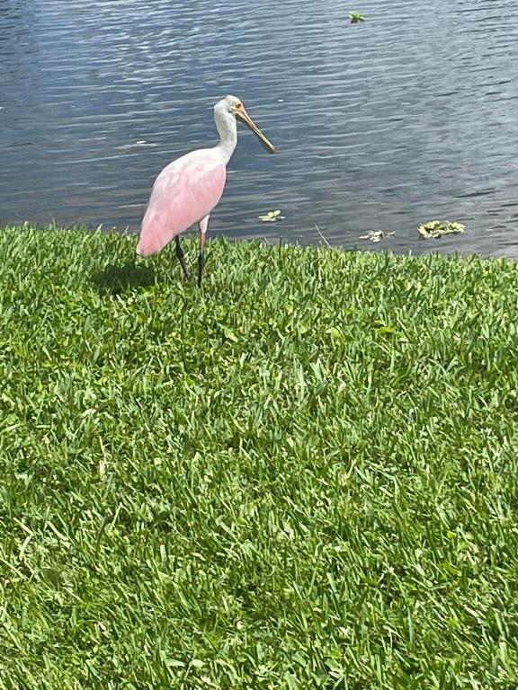 RIO VISTA VILLAS - Residential