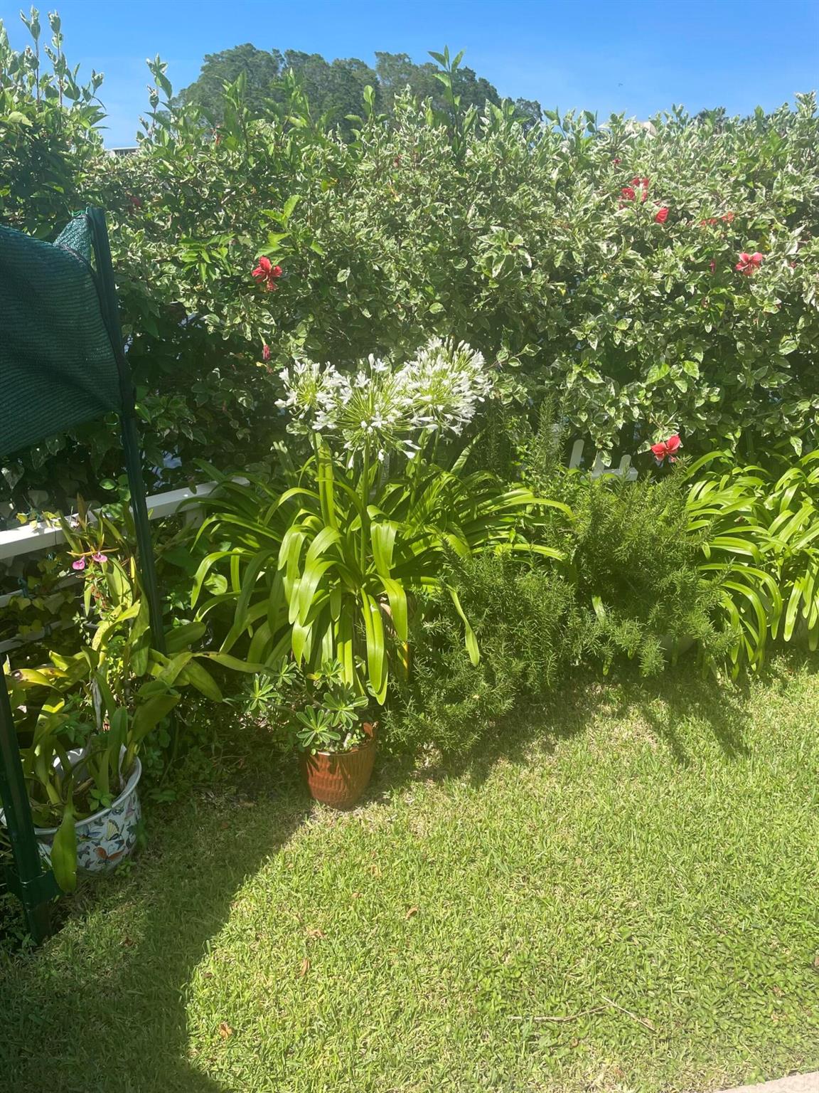 RIO VISTA VILLAS - Residential