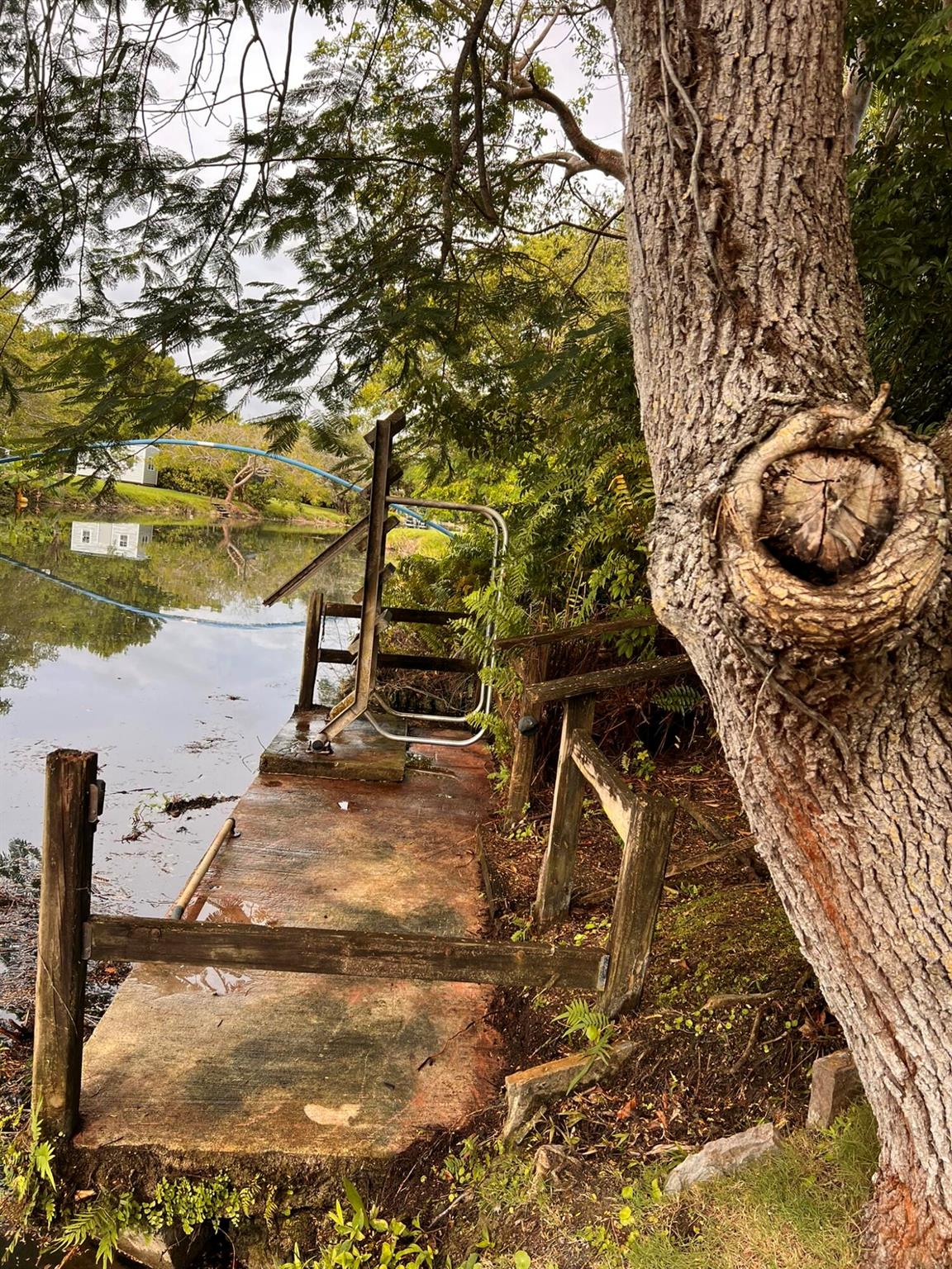 PALMETTO ROAD ESTS - Residential