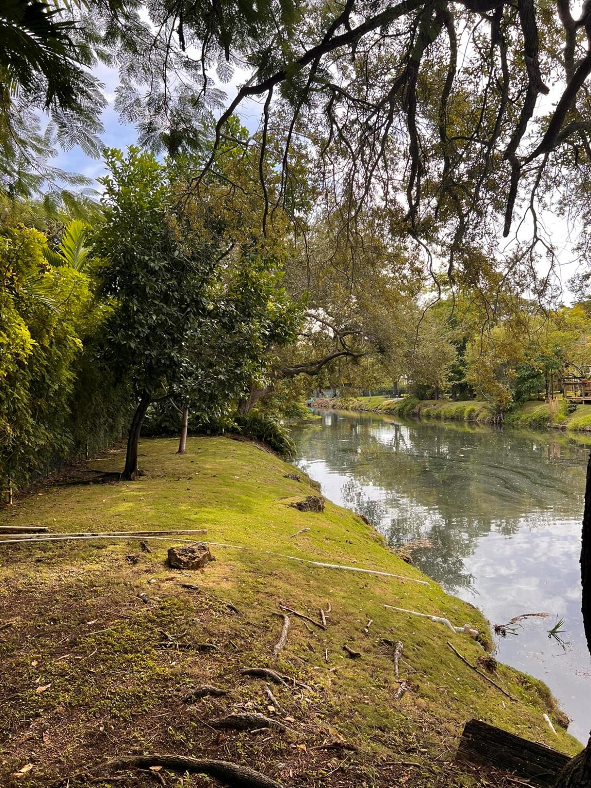 PALMETTO ROAD ESTS - Residential