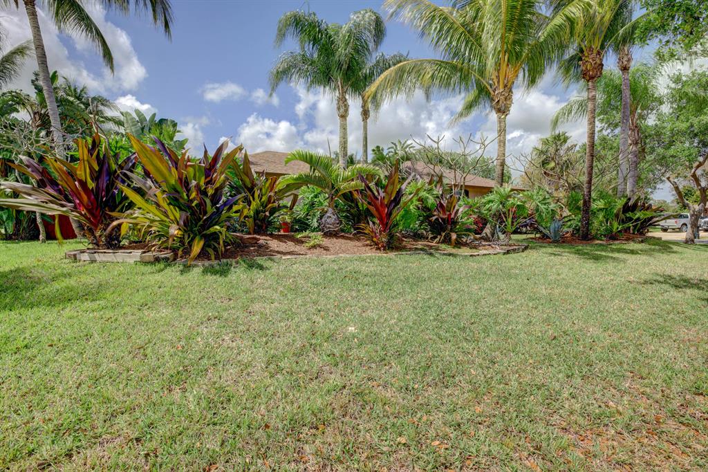 La Mancha - Residential