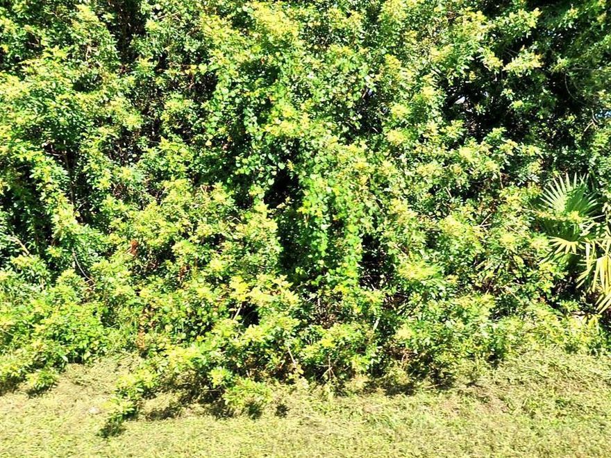 LOCATION! LOCATION! LOCATION!
THE LOT IS LOCATED SECONDS AWAY FROM CROSSTOWN PARKWAY BETWEEN I95, THE FLORIDA TURNPIKE AND US1 JUST MINUTES AWAY FROM THE MAIN HIGHWAYS.