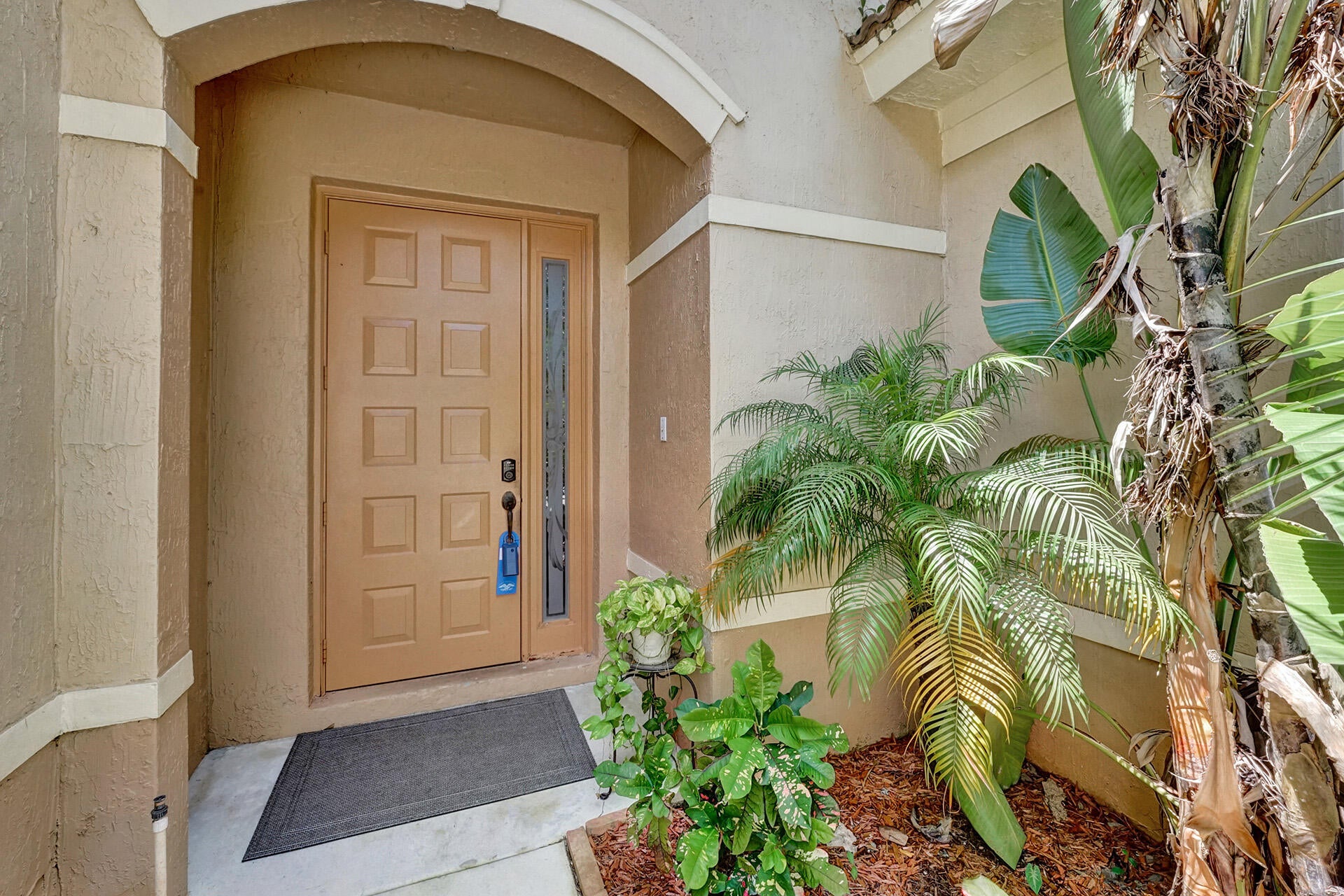 View photos, virtual tours, details... 254 RIVER BLUFF Lane