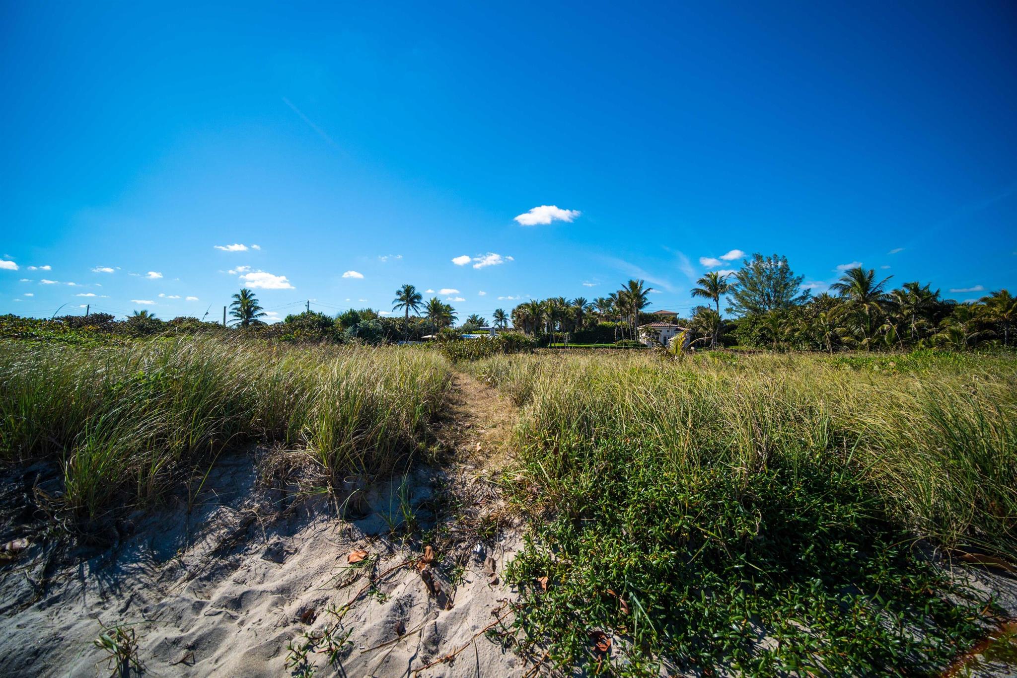 GEDNEY VS PIERSON - Residential Lease