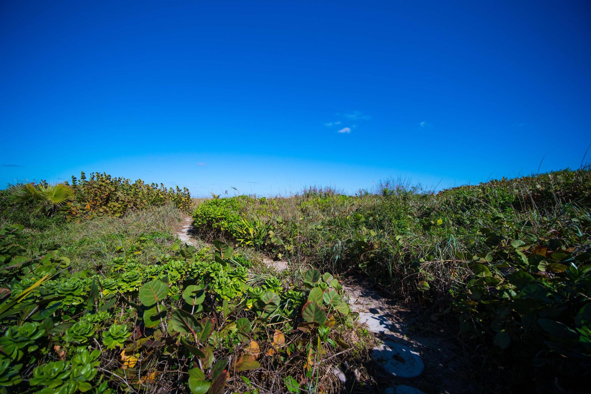 GEDNEY VS PIERSON - Residential Lease