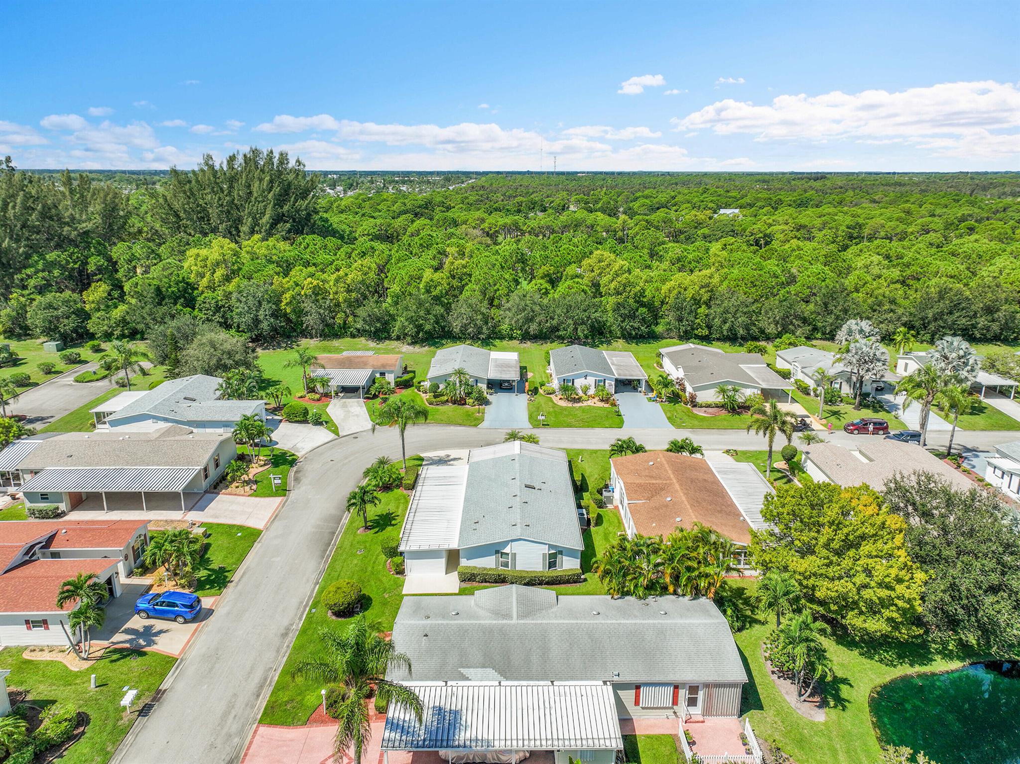 EAGLE'S RETREAT AT SAVANN - Residential