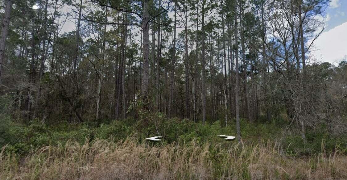 FLAGLER ESTATES UNPLATTED - Land