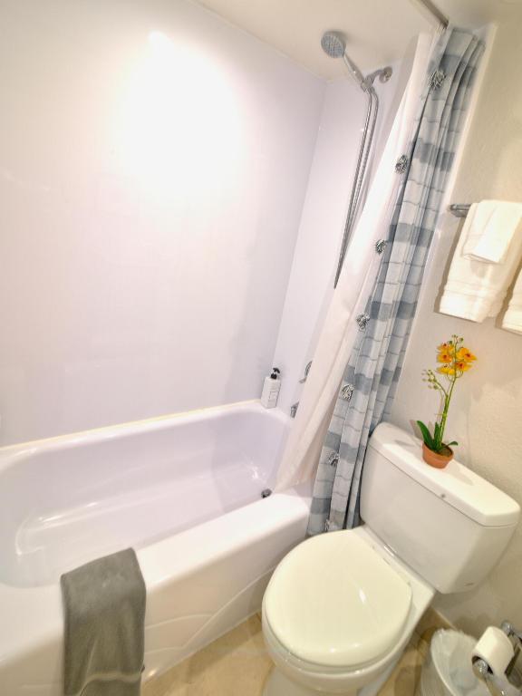 WINSTON TOWERS 700 CONDO - Residential