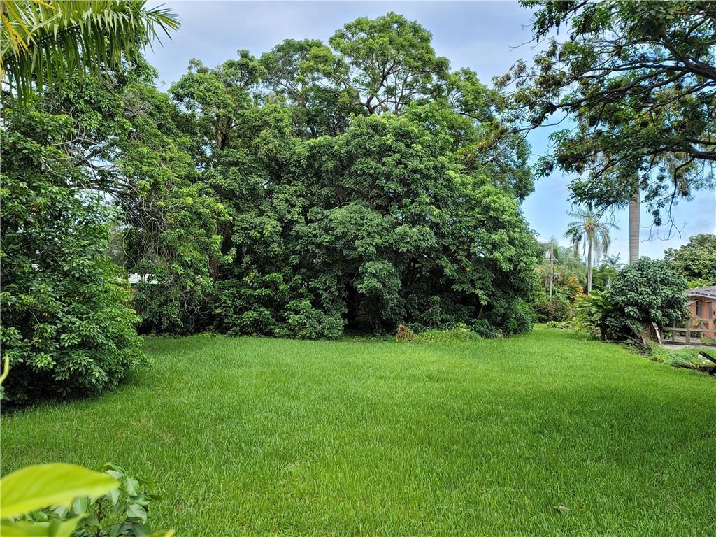 NEWMAN SURVEY - Land