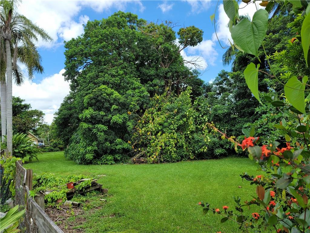 NEWMAN SURVEY - Land