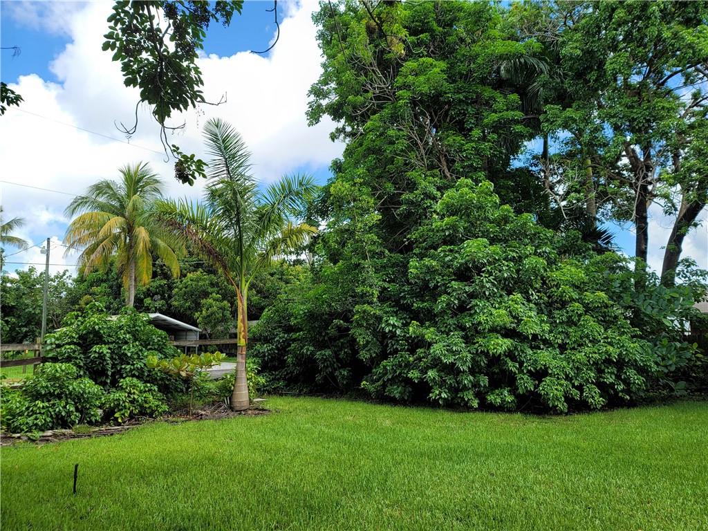 NEWMAN SURVEY - Land