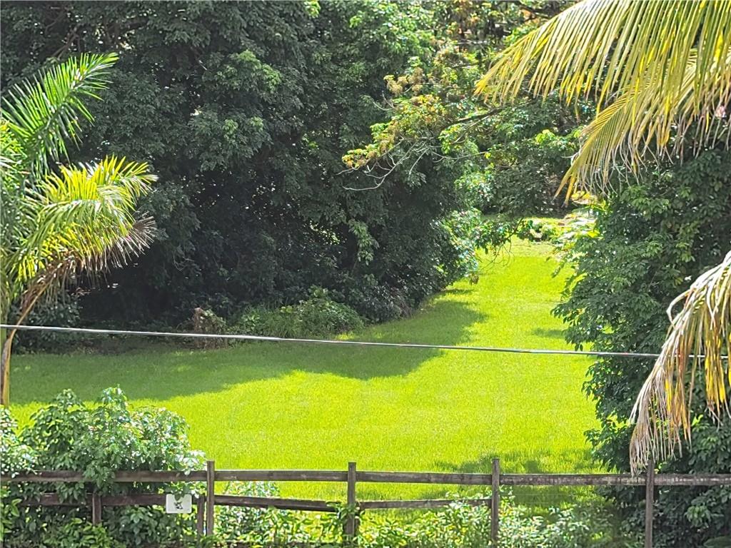 NEWMAN SURVEY - Land