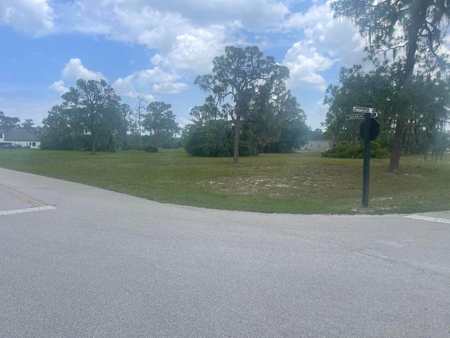 Envision your dream home, and then picture it on this expansive CORNER 2.05-acre lot nestled in the prestigious gated community of Highland Lakes Reserve. This exclusive enclave offers an array of exceptional amenities including city water and sewer, underground utilities, private paved roads, and a secure gated entrance.
Enjoy breathtaking views of Lake Charlotte and convenient access to a community dock for serene lakeside enjoyment. Immerse yourself in the tranquility of the countryside while being just moments away from top-rated schools, shopping districts, and fine dining options.
The annual HOA fee of $1,500.00 covers meticulous lawn maintenance for all common areas, ensuring a pristine environment year-round. Don't miss out!