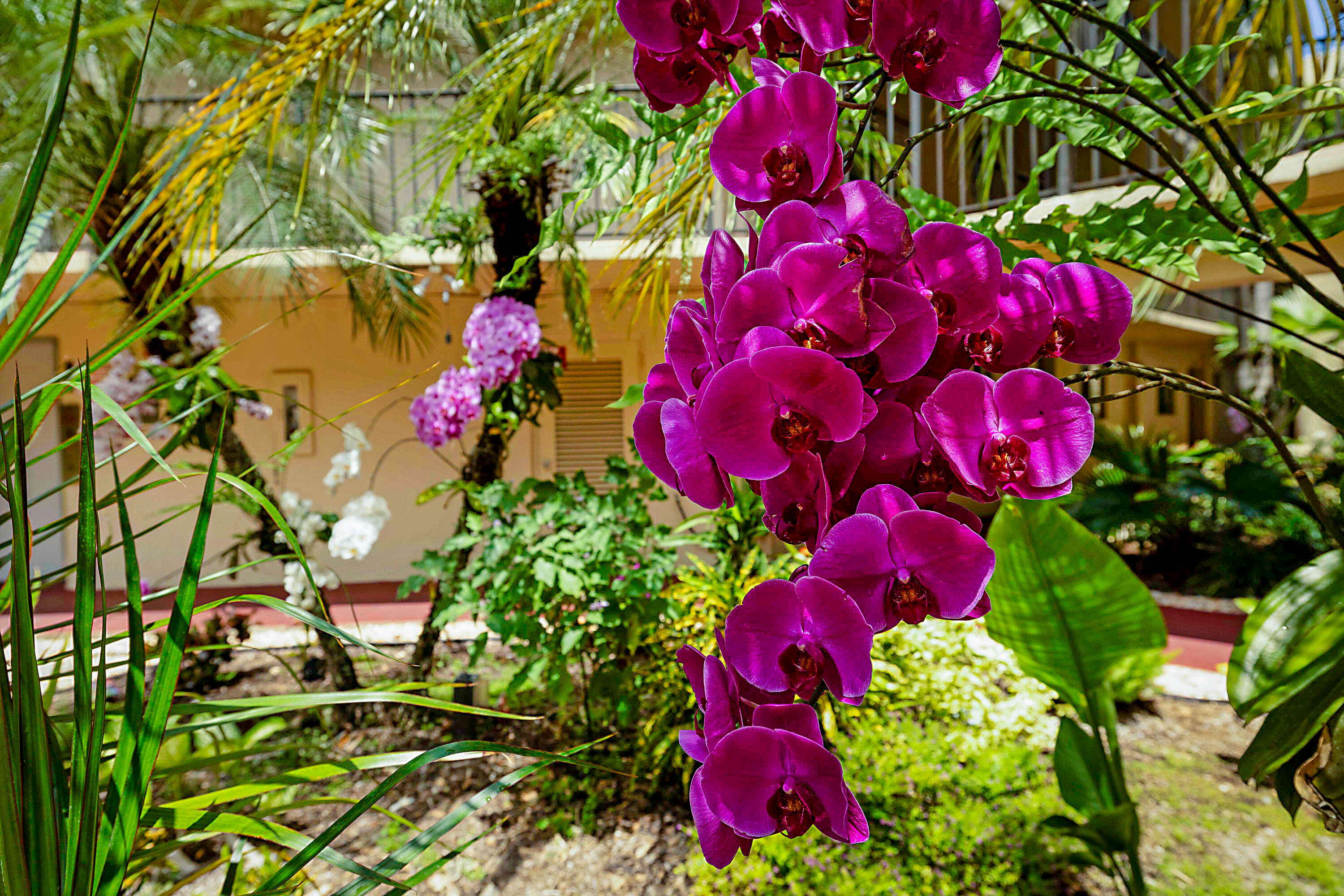 LAS VERDES - Residential