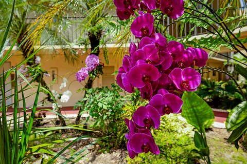 Tiny photo for 5160 Las Verdes Circle #117, Delray Beach, FL 33484 (MLS # B26021736)