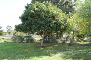 South Port St. Lucie - Residential Lease