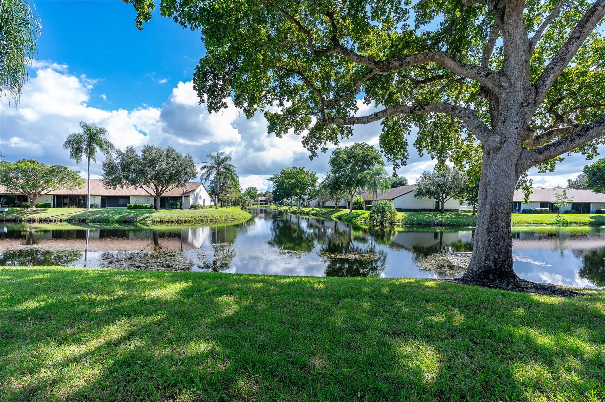 GingerTree Village - Residential