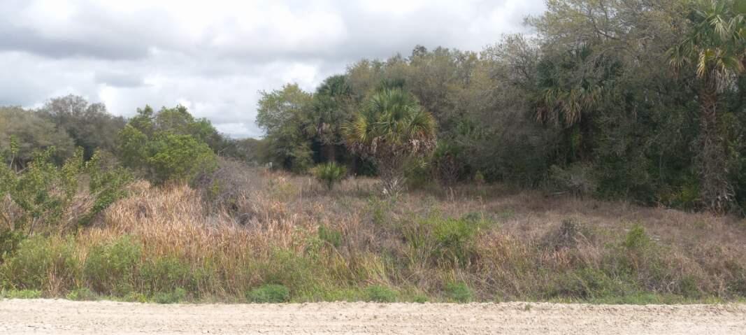 Viking-Welcome to ''The Prairie'' 1.25 acre parcel awaits your upcoming adventure! NON HOA community is approved for Manufactured home placement or build a custom home! Not ready ton develop? Escape the city for weekend camping, BBQ, bird watching, or horse back riding. ATV on your personal property. Not permitted on private roads. Superb location to enjoy the starry night sky as this acreage is near the Kissimmee Prairie State Preserve Park! In 2016, Kissimmee Prairie Preserve was recognized as Florida's first Dark Sky Park by the International Dark Sky Association. Astronomers come from all over the world to get a glimpse of the night sky and YOU CAN TOO! This is an opportunity to enjoy your slice of country life. Buyer to confirm property detentions by obtaining a survey.