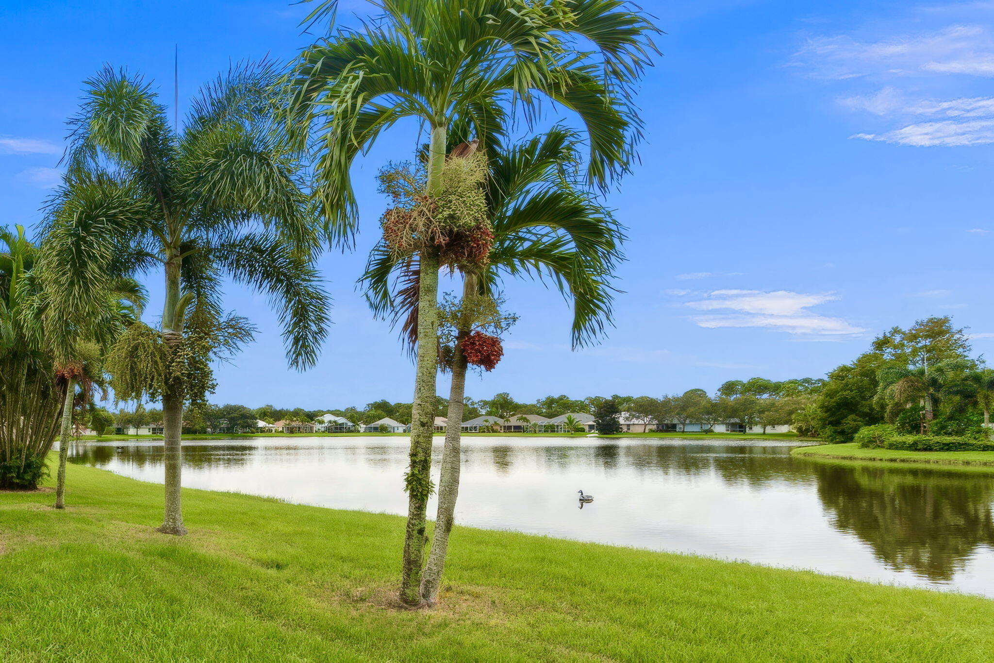 Sawgrass Lakes Phase 5 - Residential