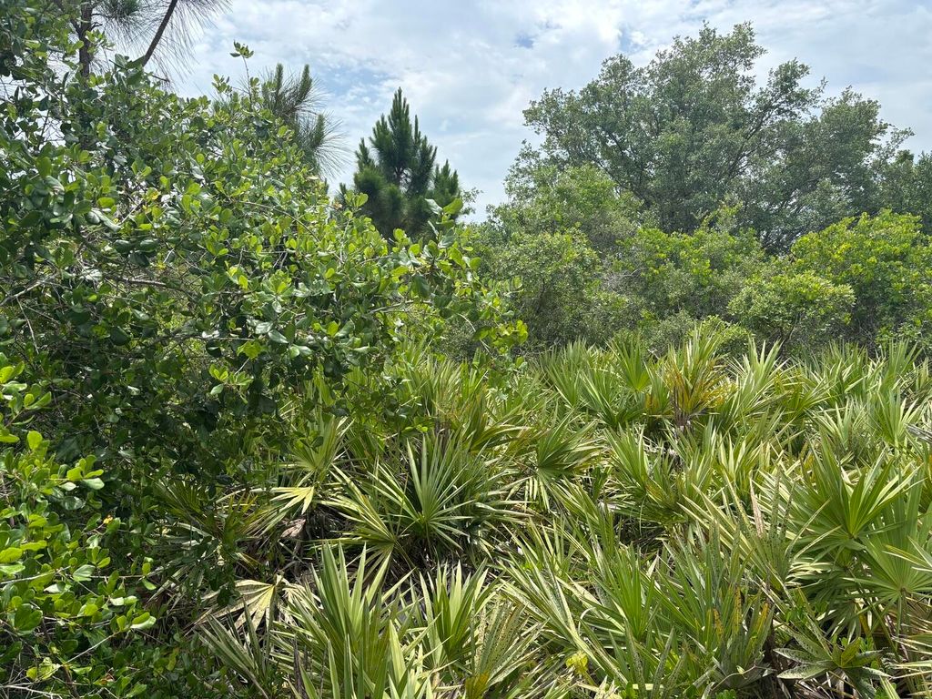 Photo of 0 Turnpike Feeder Road, Fort Pierce, FL 34945 (MLS # B26027391)