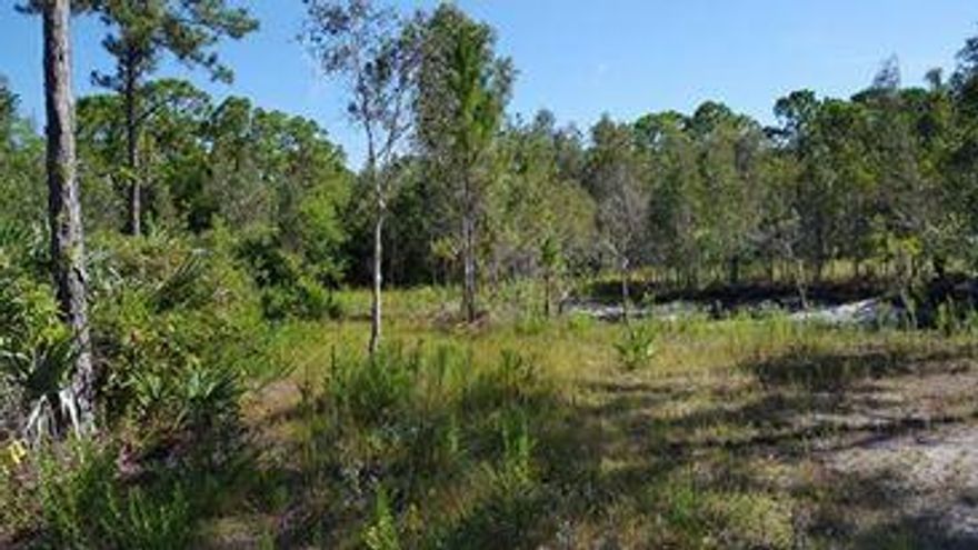 1.31 Country Acres in the middle of Port St Lucie Large lot to build a family compound on. Enjoy turkeys boar and all kinds of wildlife Ideal for the family that enjoys 4 wheeling and nature. Horse stables nearby. 
Pond on Property
new permitted fence