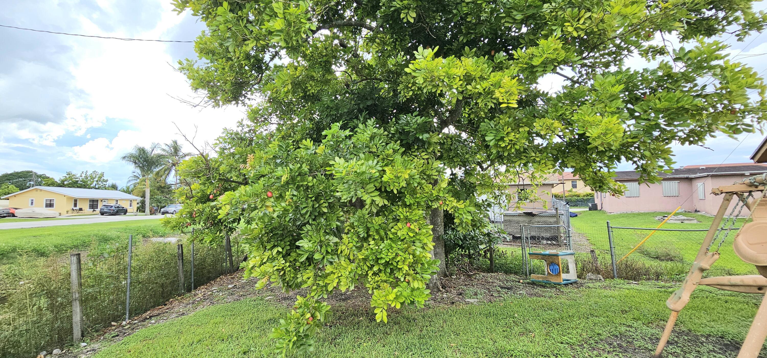 LAKE SHORE - Residential