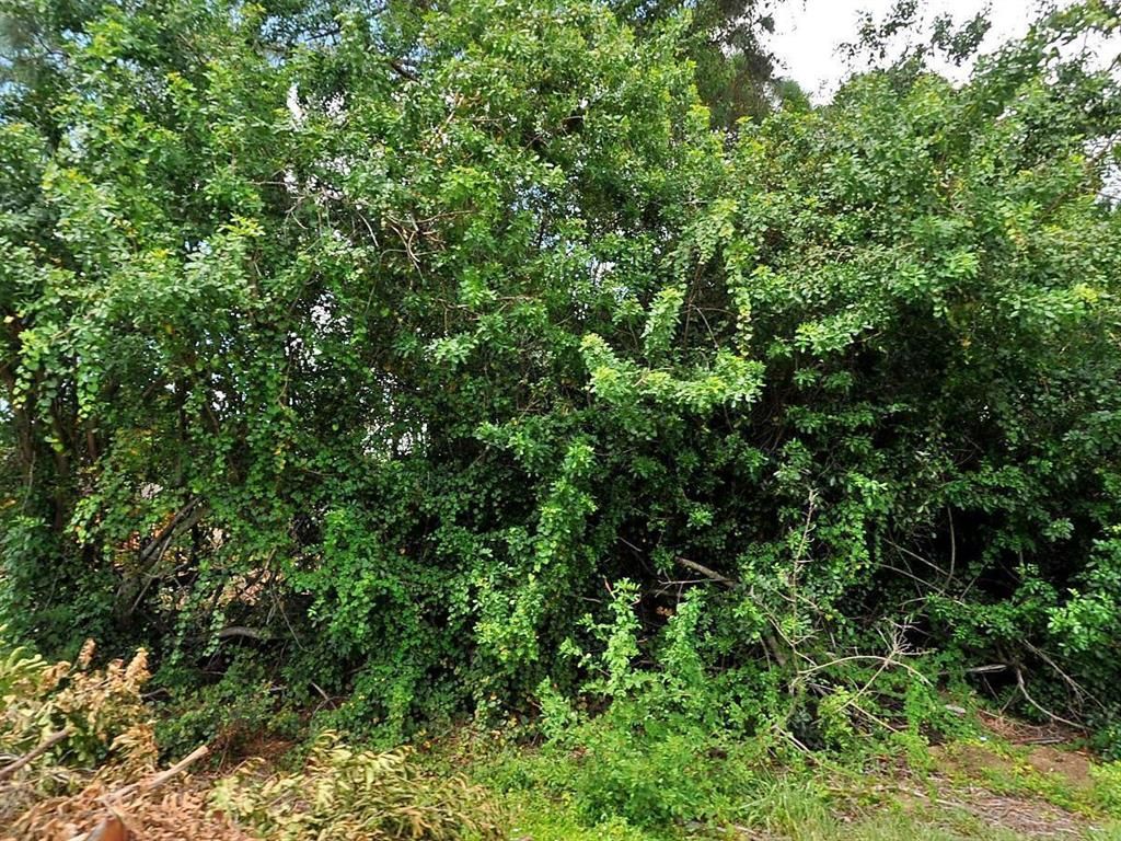 Photo of 1933 SW Michelangelo Avenue, Port Saint Lucie, FL 34953 (MLS # R10709713)