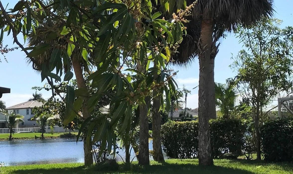 LAKE CHARLESTON PAR - Residential Lease