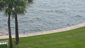 WILSHIRE NORTH CONDOS - Residential