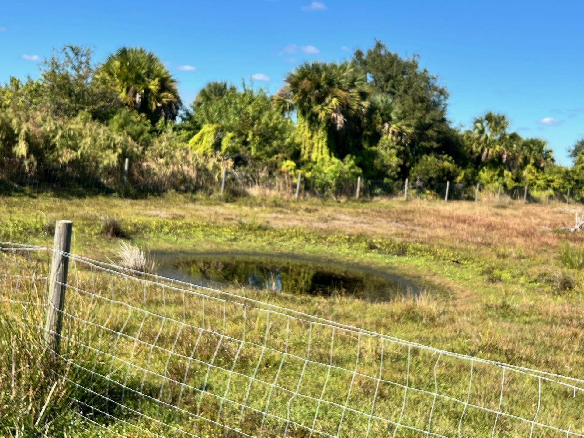 SOUTHERN COLONIZATION COM - Land