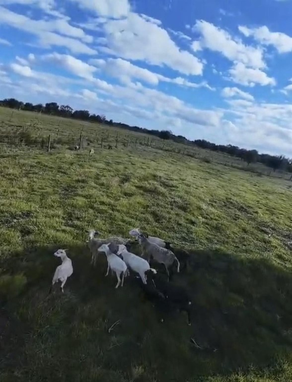 SOUTHERN COLONIZATION COM - Land