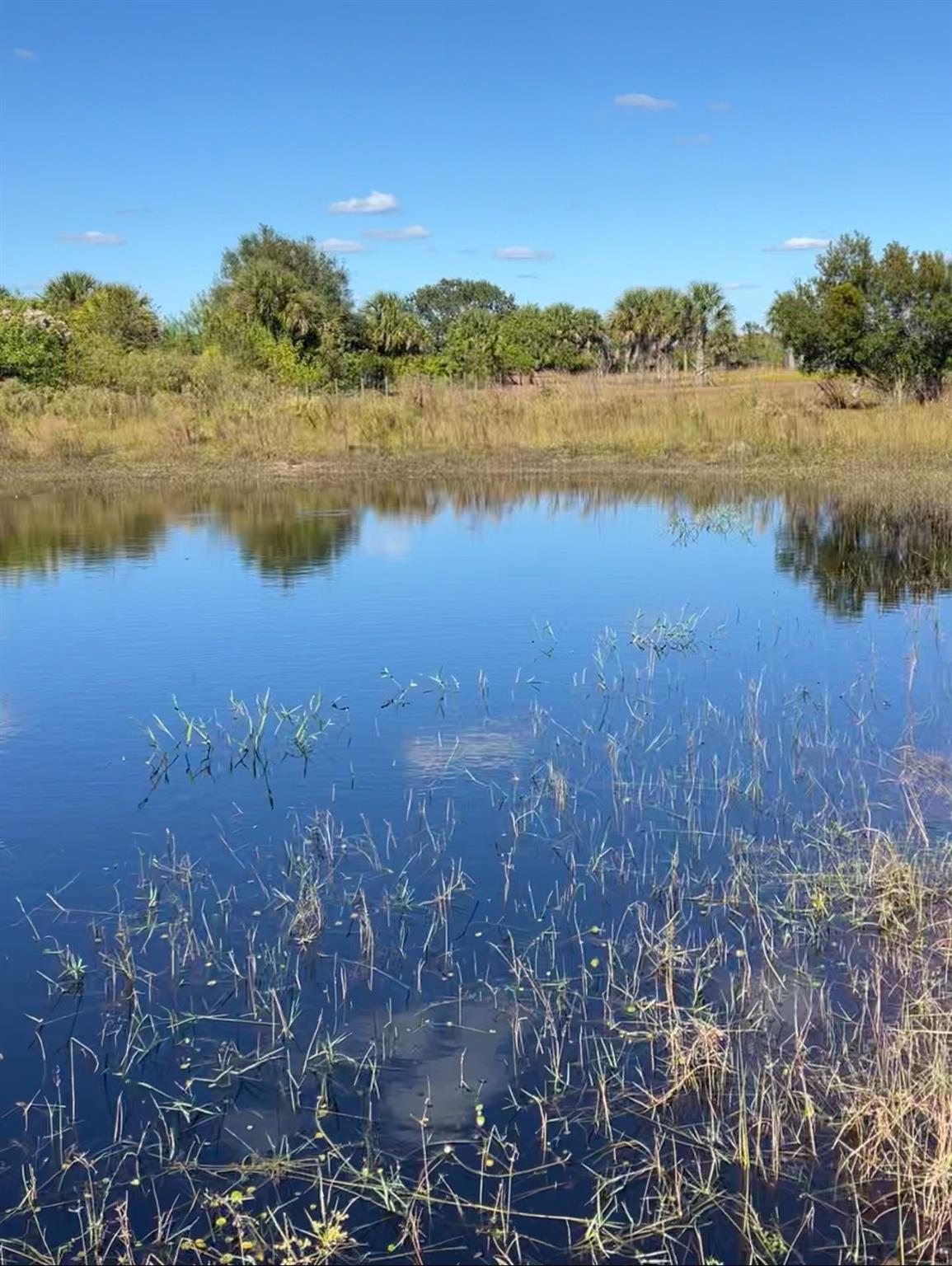 SOUTHERN COLONIZATION COM - Land