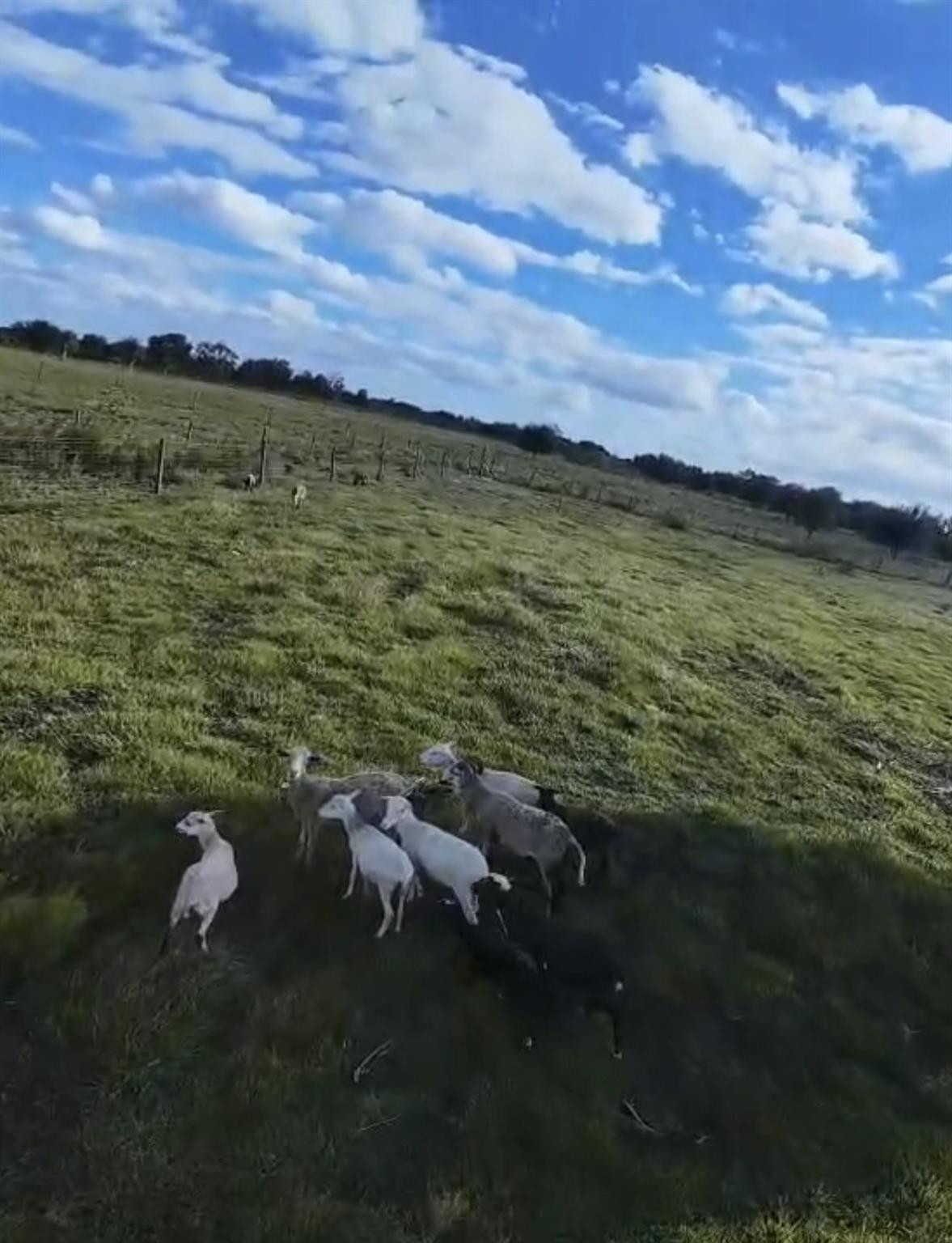 SOUTHERN COLONIZATION COM - Land