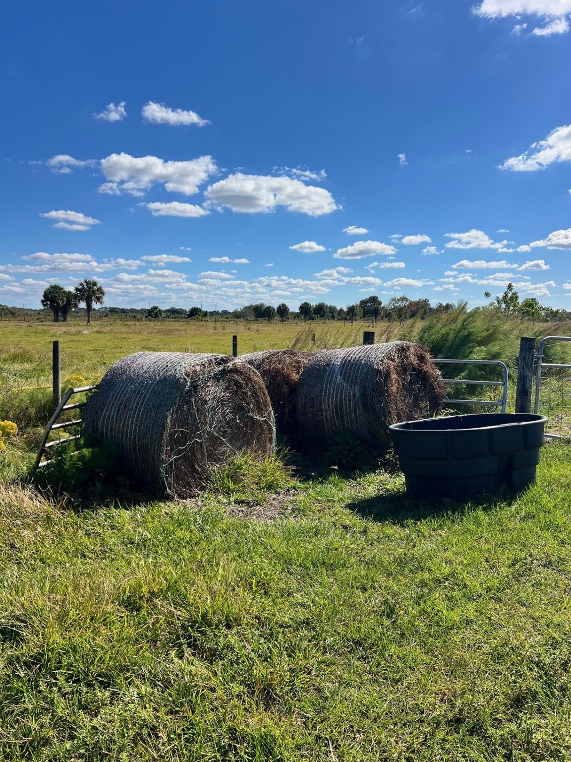 SOUTHERN COLONIZATION COM - Land