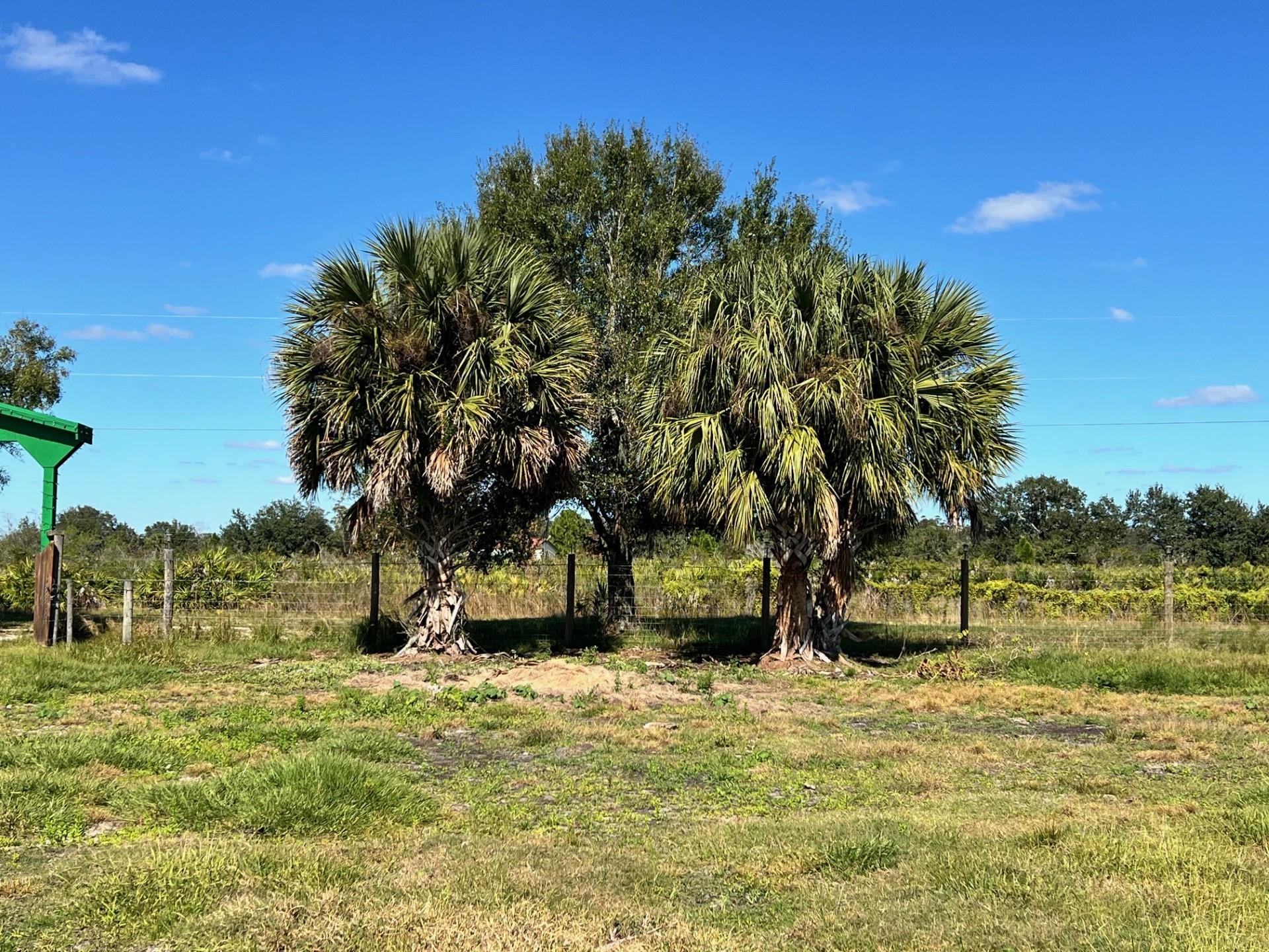 SOUTHERN COLONIZATION COM - Land