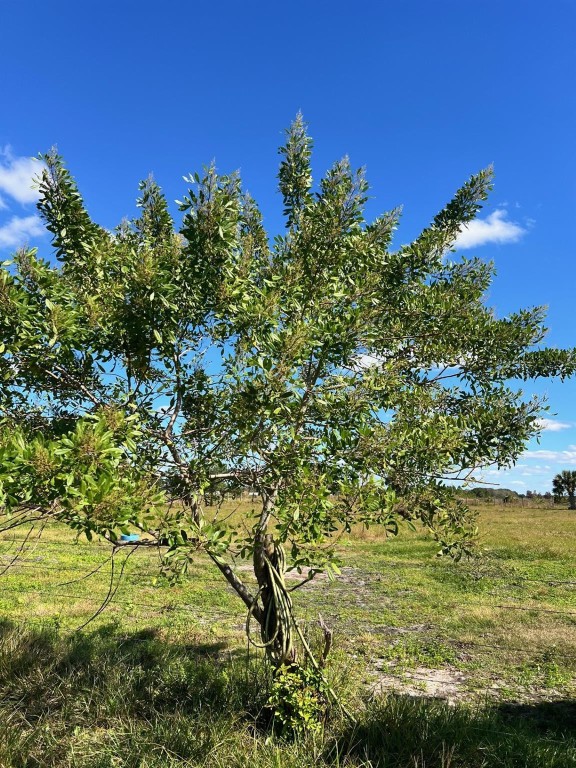 SOUTHERN COLONIZATION COM - Land