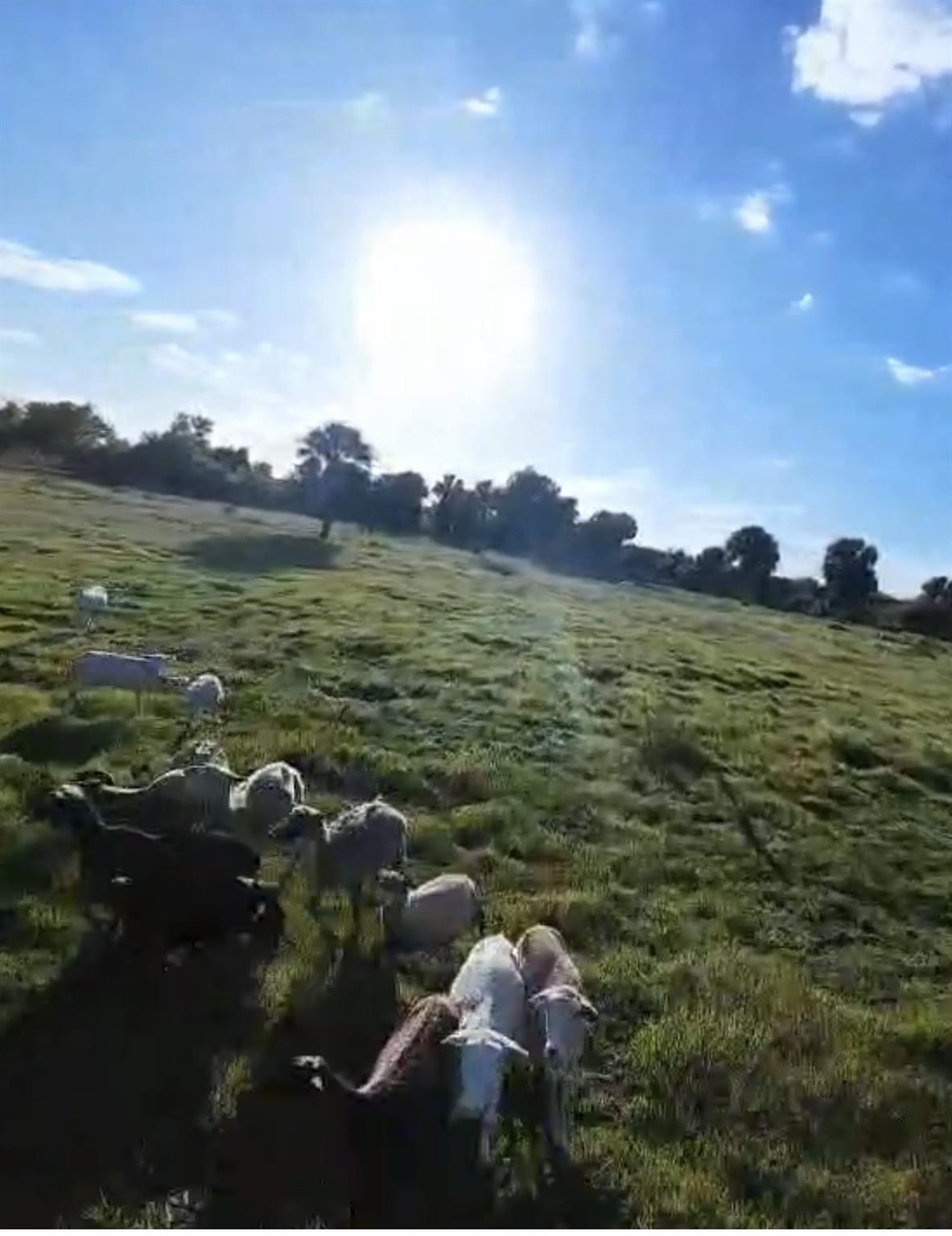 SOUTHERN COLONIZATION COM - Land