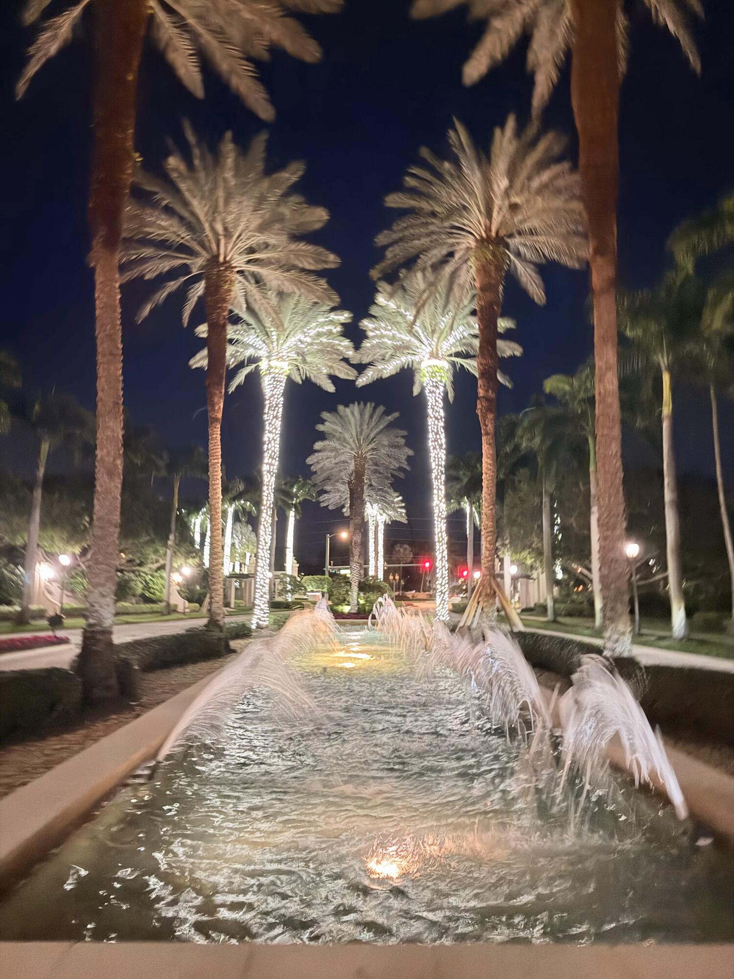 VALENCIA PALMS 1 - Residential