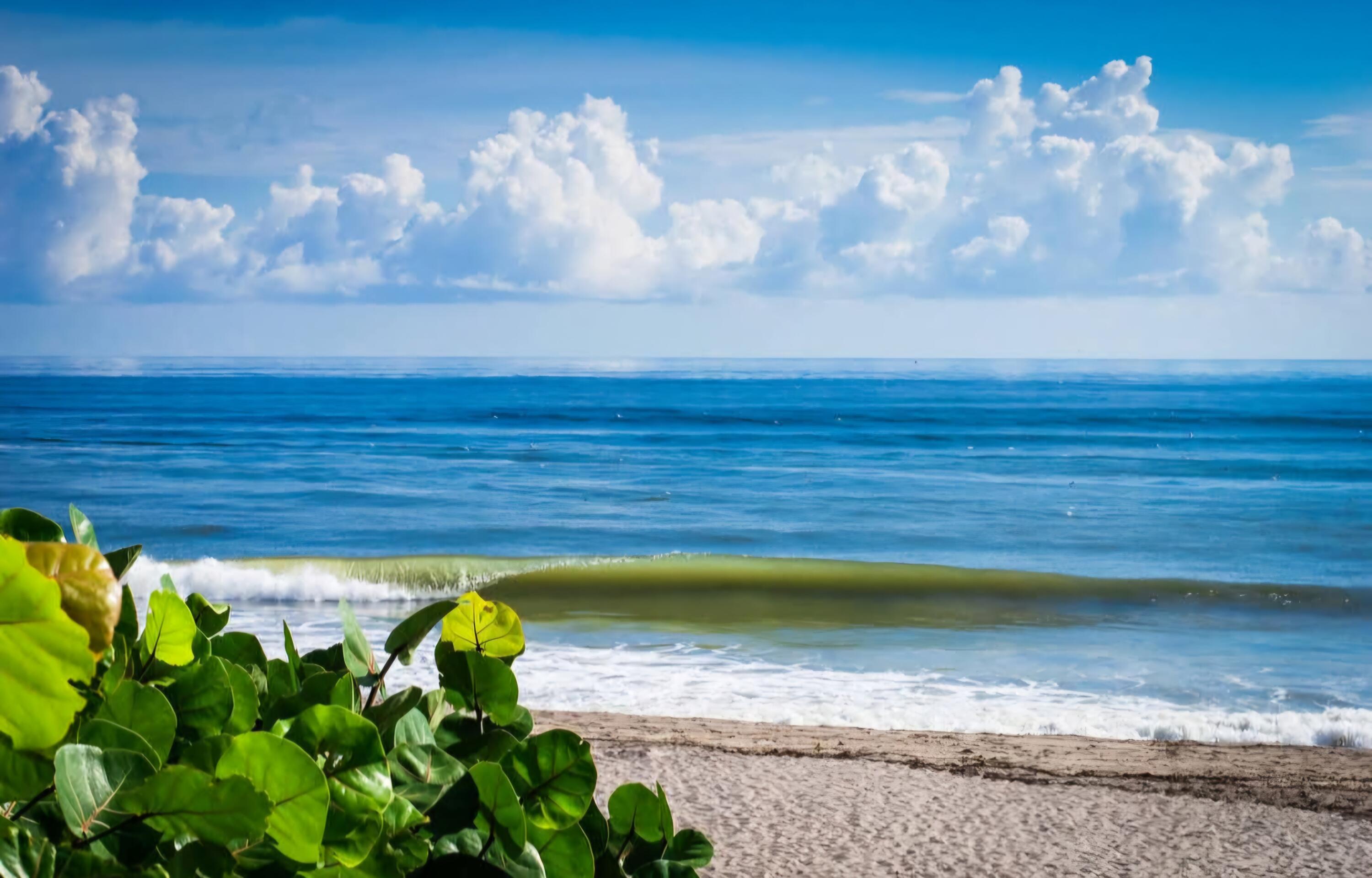 OCEAN AT THE JUPITER BLUFFS - Residential Lease