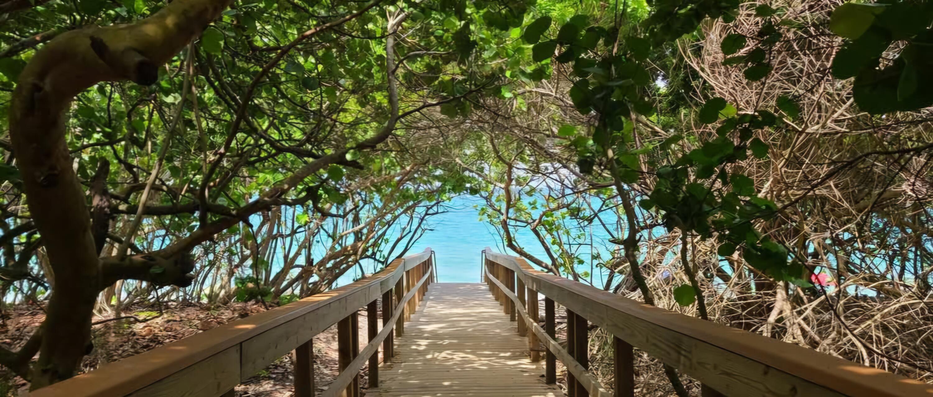 OCEAN AT THE JUPITER BLUFFS - Residential Lease