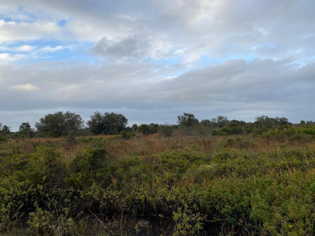 THE SOUTHERN COLONIZATION - Land