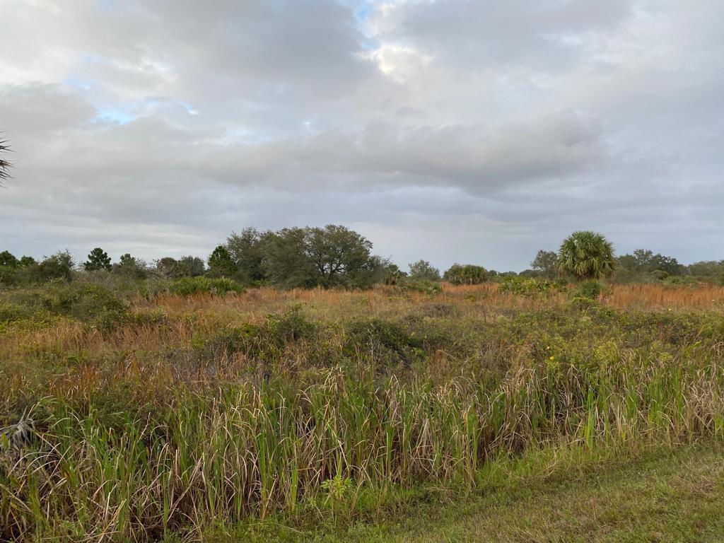 THE SOUTHERN COLONIZATION - Land