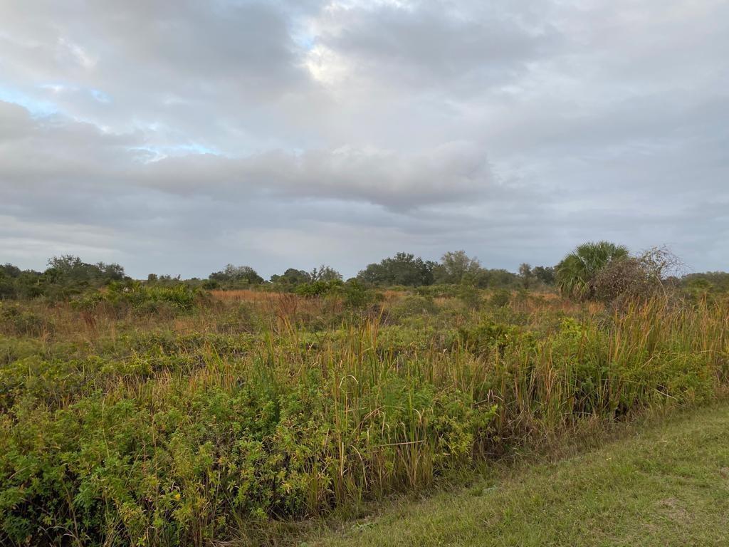 THE SOUTHERN COLONIZATION - Land