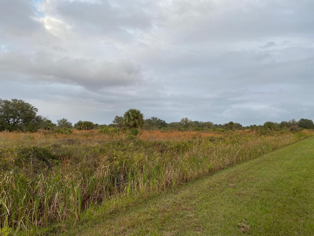 THE SOUTHERN COLONIZATION - Land