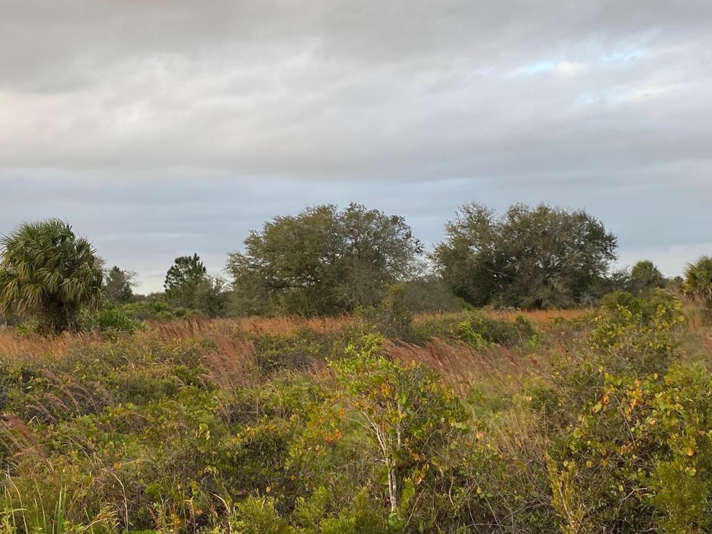 THE SOUTHERN COLONIZATION - Land