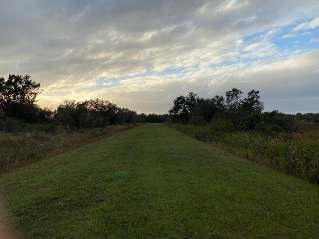 THE SOUTHERN COLONIZATION - Land