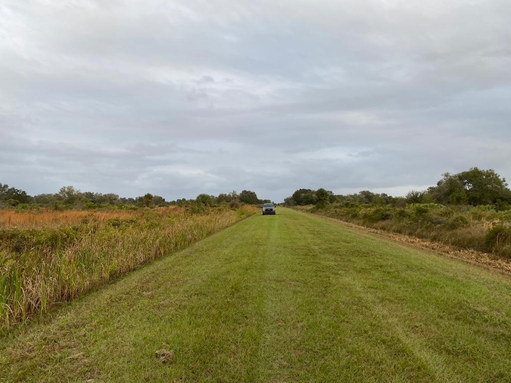 THE SOUTHERN COLONIZATION - Land